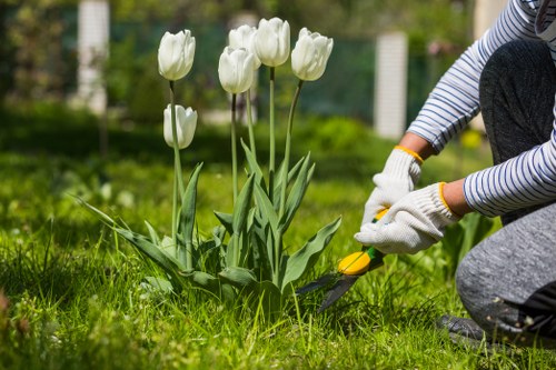Garden makeover planning and landscaping work in a Kilburn residential garden