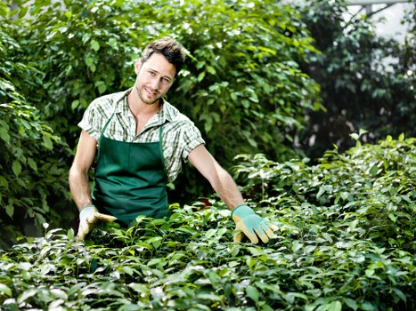 Reusable garden materials being prepared for charity donation