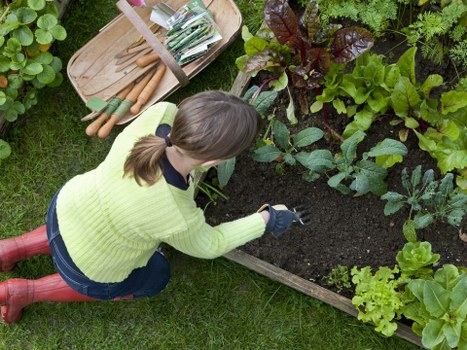 Preparation and groundwork for artificial grass in Kilburn