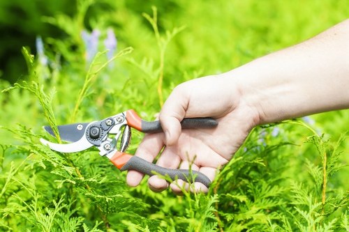 Contract discussion for landscaping services and scheduled work